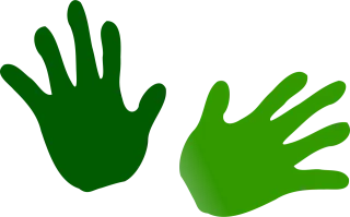Hands Fingers Green Stickdatei