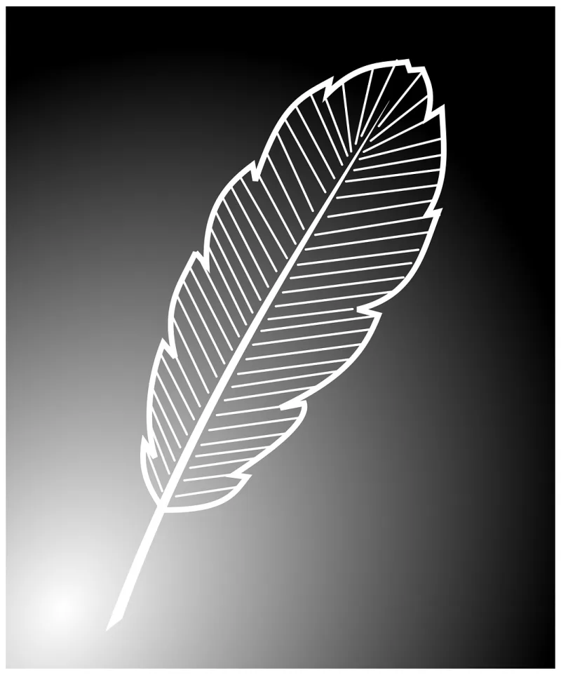 Feather White Delicate Stickdatei – Natur