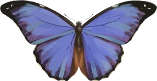Animal Butterfly Insect Stickdatei