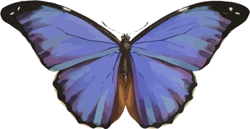 Animal Butterfly Insect Stickdatei – Tiere