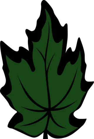 Maple leaf Nature Maple Stickdatei