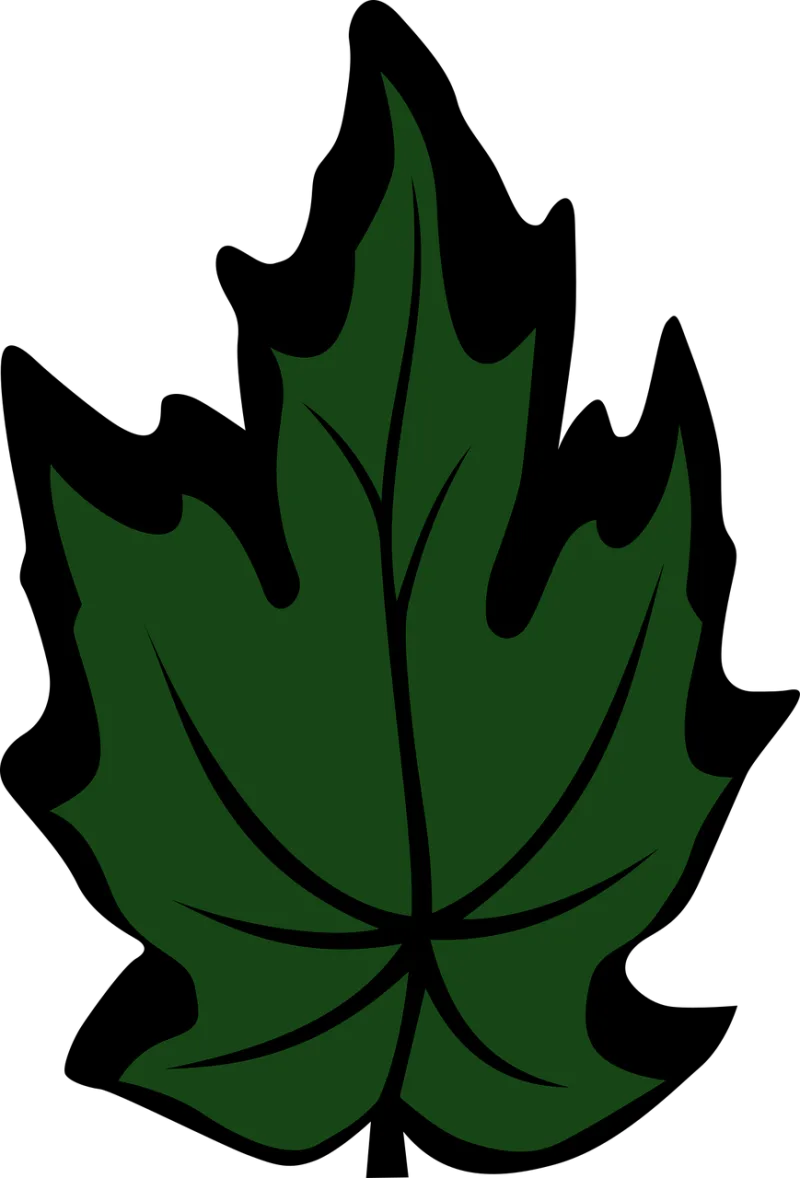 Maple leaf Nature Maple Stickdatei – Natur