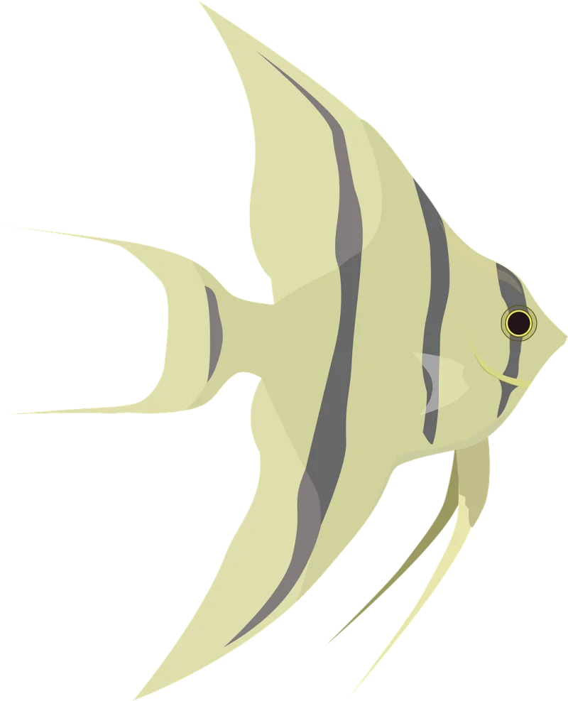 Animal Fish Nature Stickdatei – Tiere