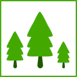 Fir tree Tree Nature Stickdatei