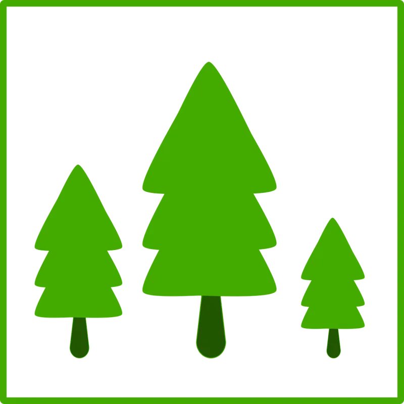 Fir tree Tree Nature Stickdatei – Natur
