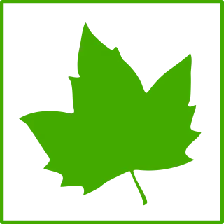 Leaf Maple leaf Maple Stickdatei