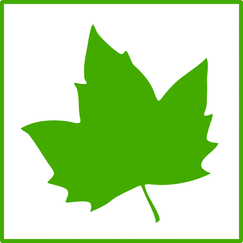 Leaf Maple leaf Maple Stickdatei – Natur