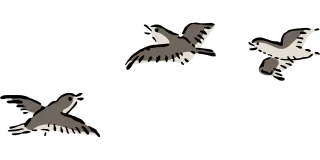 Bird Nature Plover Stickdatei
