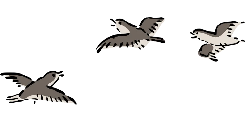Bird Nature Plover Stickdatei – Tiere