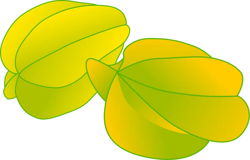 Starfruit Fruit Yellow Stickdatei – Essen & Trinken