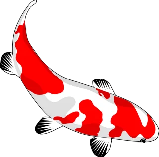 Fish Nature Koi Stickdatei