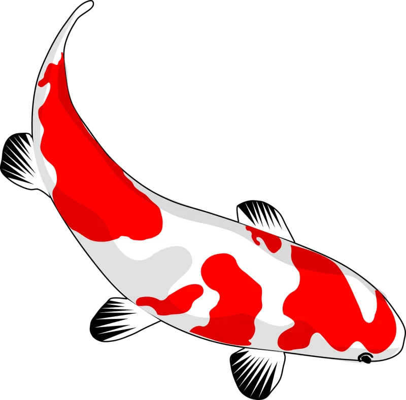 Fish Nature Koi Stickdatei – Sport
