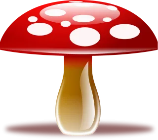 Amanita muscaria Fly agaric Fungus Stickdatei