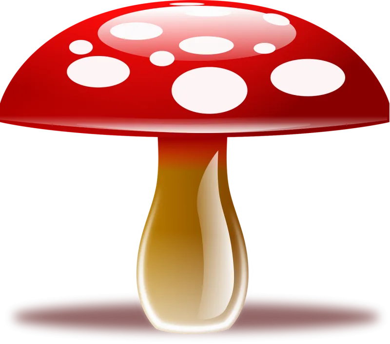 Amanita muscaria Fly agaric Fungus Stickdatei – Natur