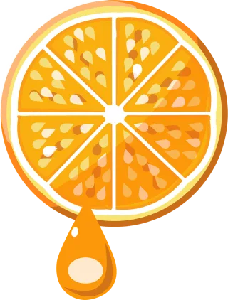 Fresh Fruit Orange Stickdatei