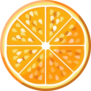 Fresh Fruit Orange Stickdatei