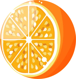Fresh Fruit Orange Stickdatei