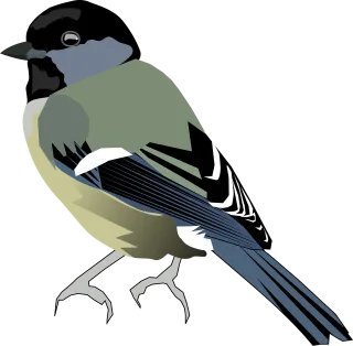 Bird Chickadee Titmice Stickdatei