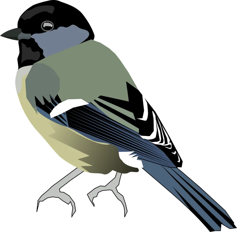 Bird Chickadee Titmice Stickdatei – Tiere