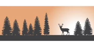 Forest Sunset Deer Stickdatei