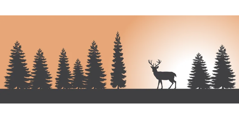Forest Sunset Deer Stickdatei – Natur