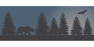 Bear Forest Nature Stickdatei