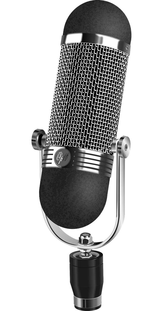 Microphone Audio Music Stickdatei – Musik
