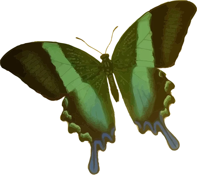 Animal Butterfly Insect Stickdatei – Tiere