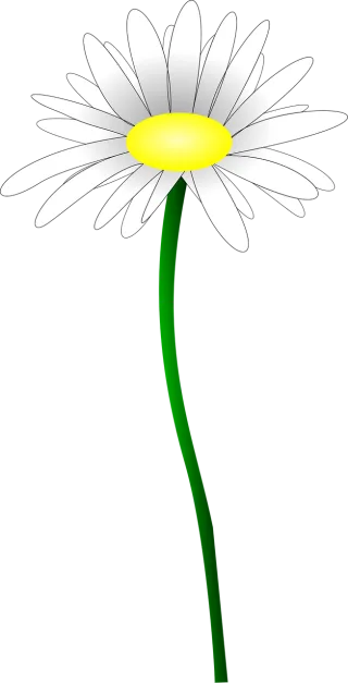 Daisy Flower Marguerite Stickdatei