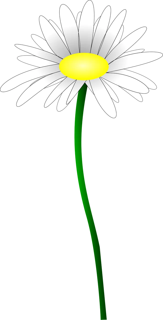 Daisy Flower Marguerite Stickdatei – Blumen