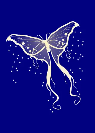 Butterfly Moth Bright Stickdatei