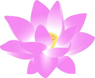 Flower Water lily Lily Stickdatei