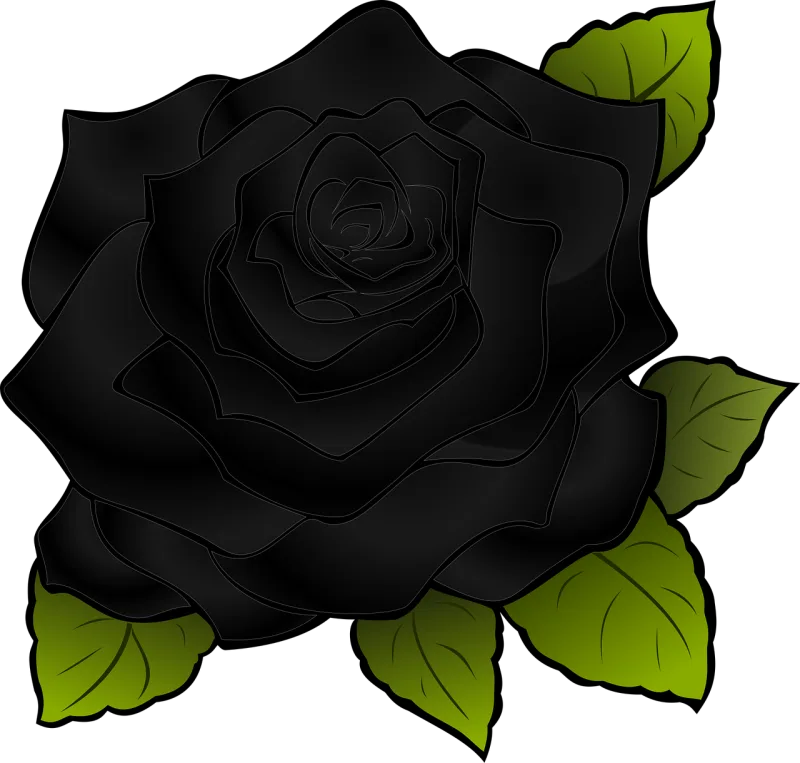 Rose Beautiful flowers Rose flower Stickdatei – Blumen