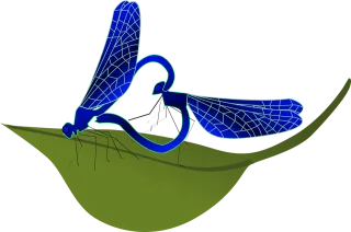 Dragonfly Heart Insect Stickdatei
