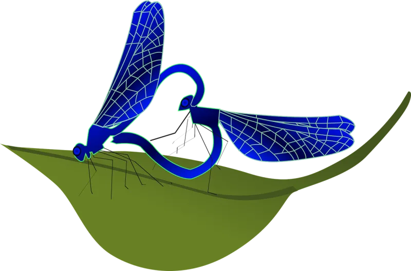 Dragonfly Heart Insect Stickdatei – Herzen & Liebe