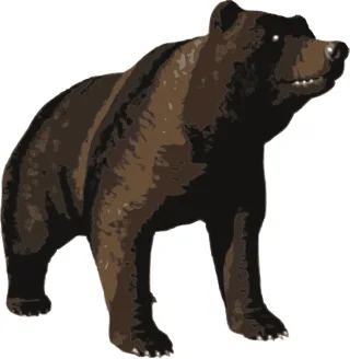 Animal Bear Brown Stickdatei