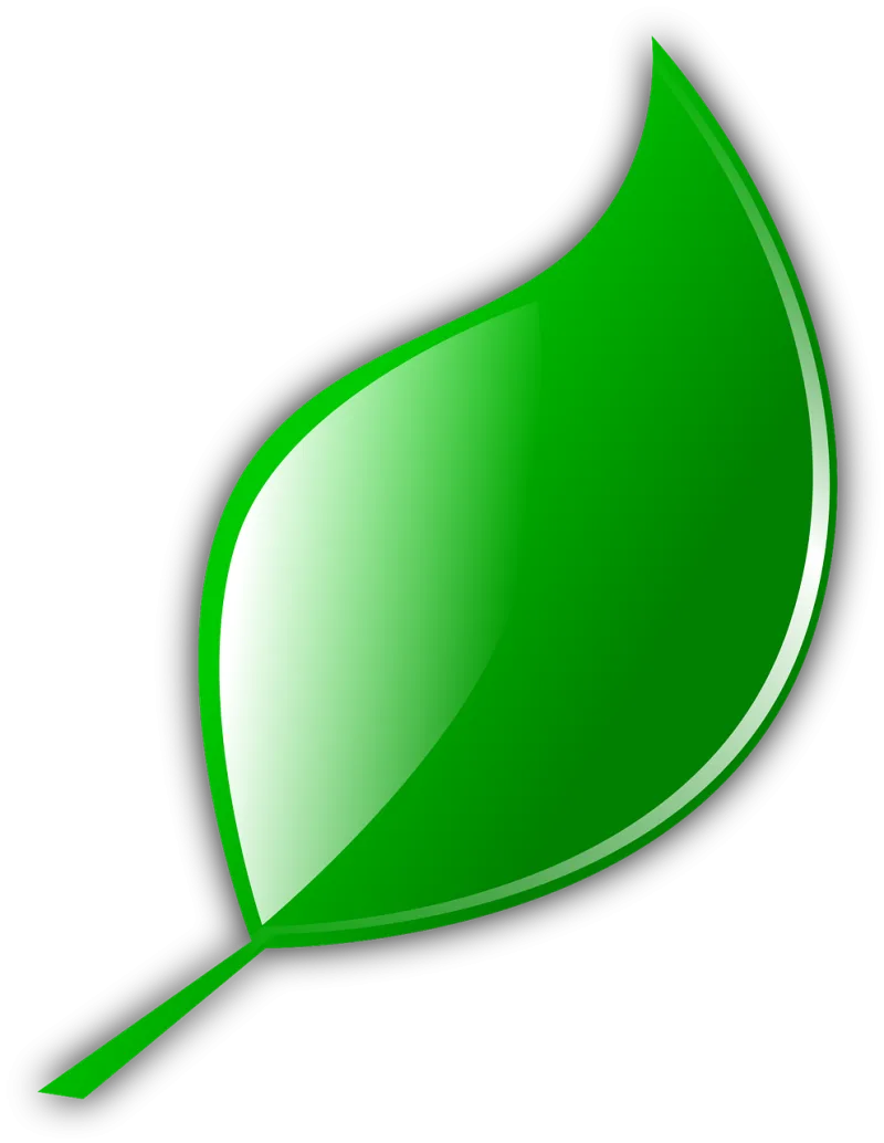 Leaf Green Nature Stickdatei – Natur