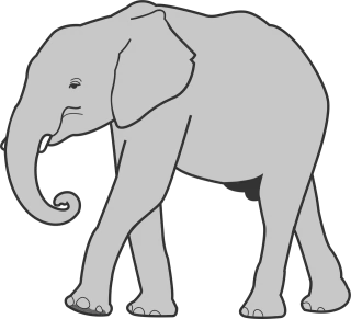 Elephant Animals Mammal Stickdatei
