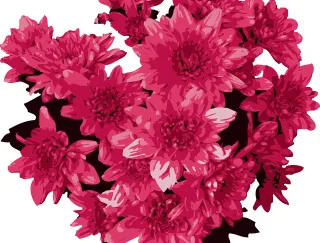 Decoration Flower Nature Stickdatei