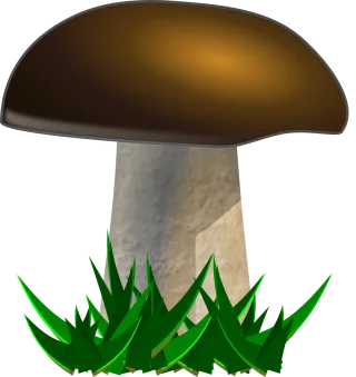 Mushroom Yellow boletus Nature Stickdatei