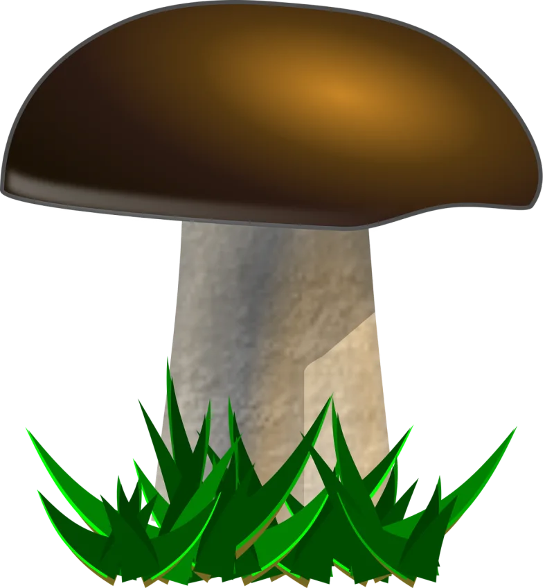 Mushroom Yellow boletus Nature Stickdatei – Natur