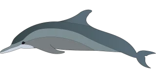 Dolphin Nature Animal Stickdatei – Tiere