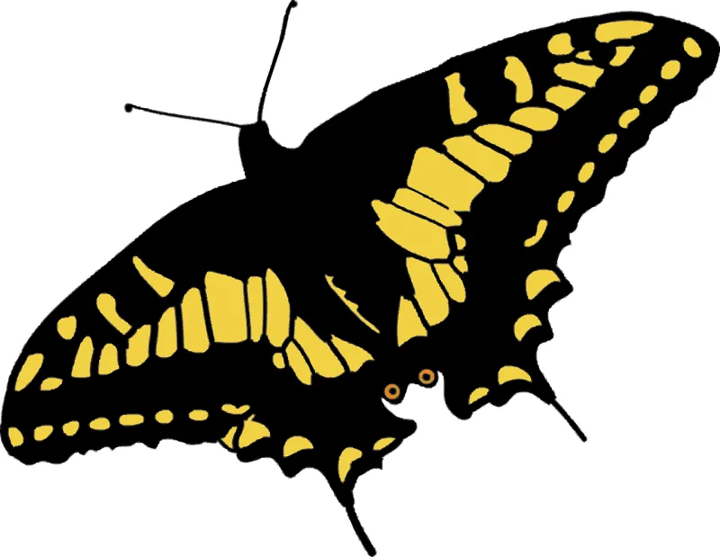 Butterfly Nature Papilio machaon Stickdatei – Tiere