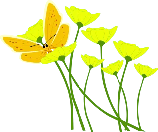 Flower Poppy Butterfly Stickdatei