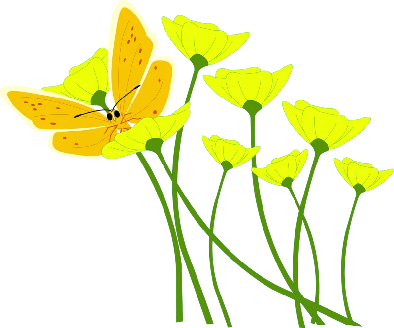 Flower Poppy Butterfly Stickdatei – Blumen
