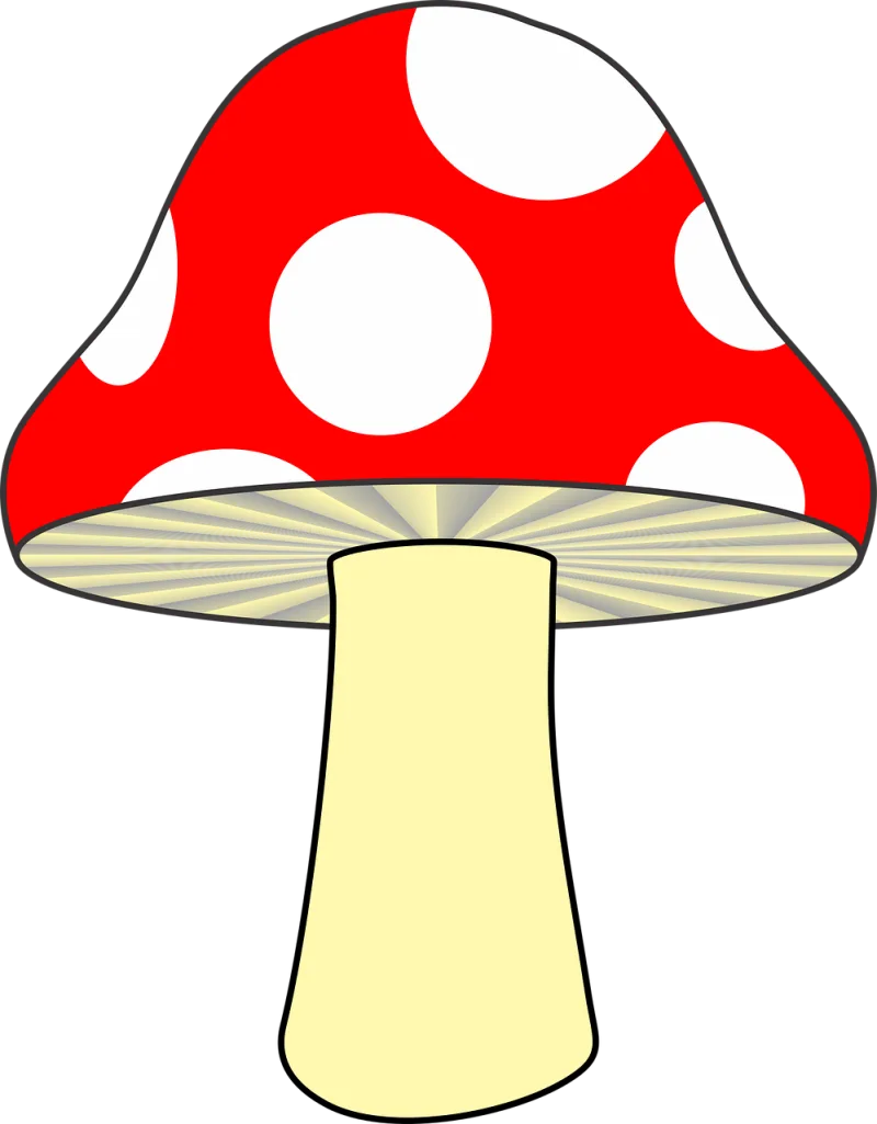 Mushroom Nature Red mushroom Stickdatei – Natur
