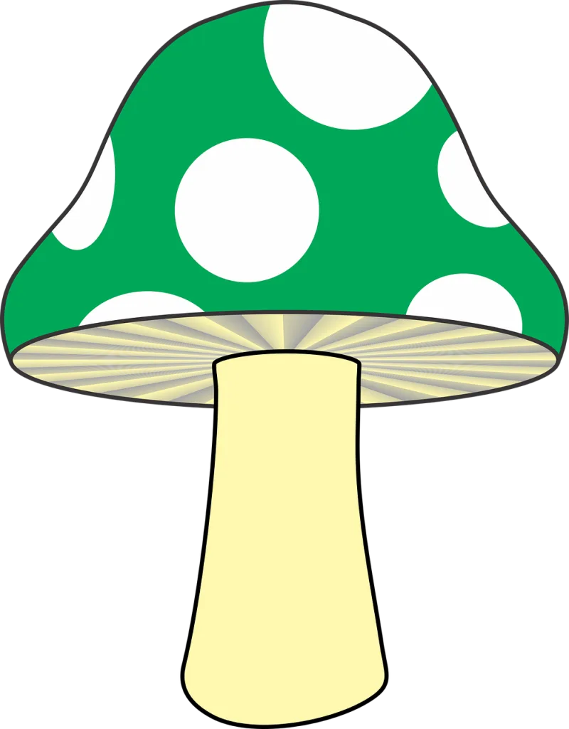Mushroom Nature Green mushroom Stickdatei – Natur