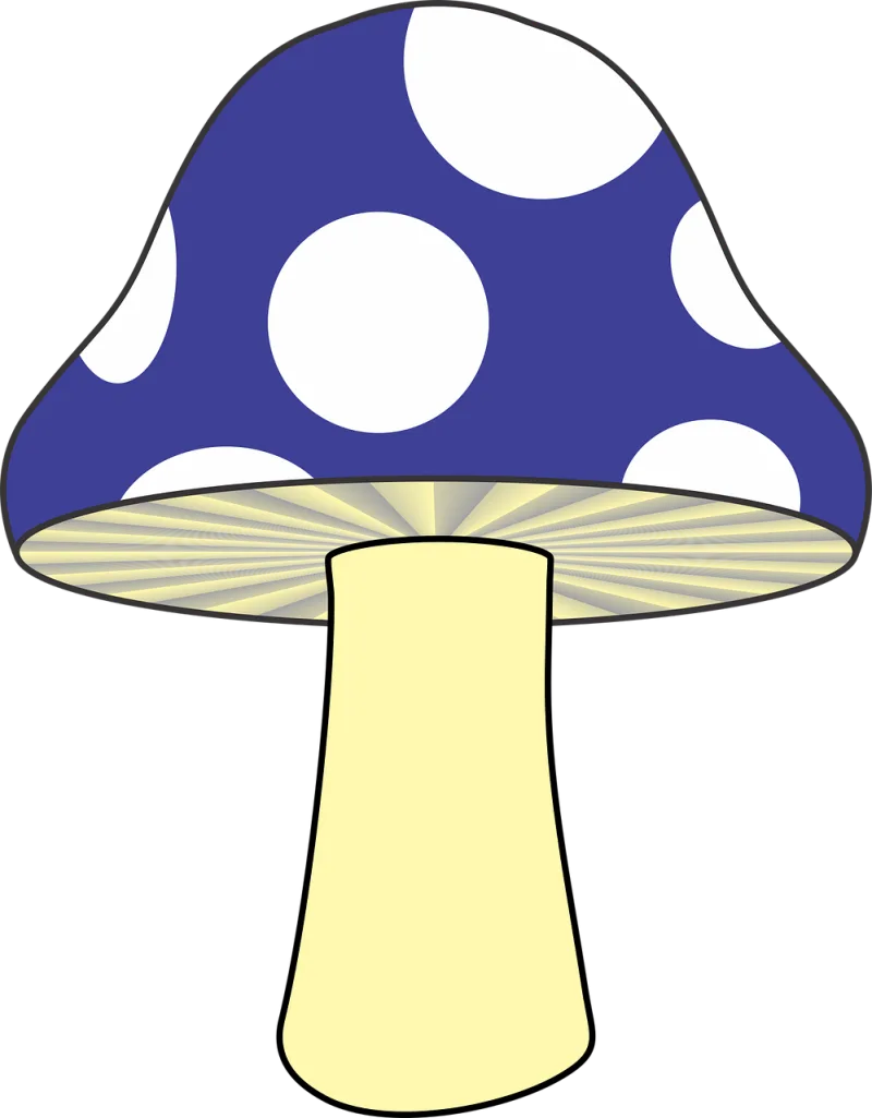 Mushroom Nature Blue mushroom Stickdatei – Natur