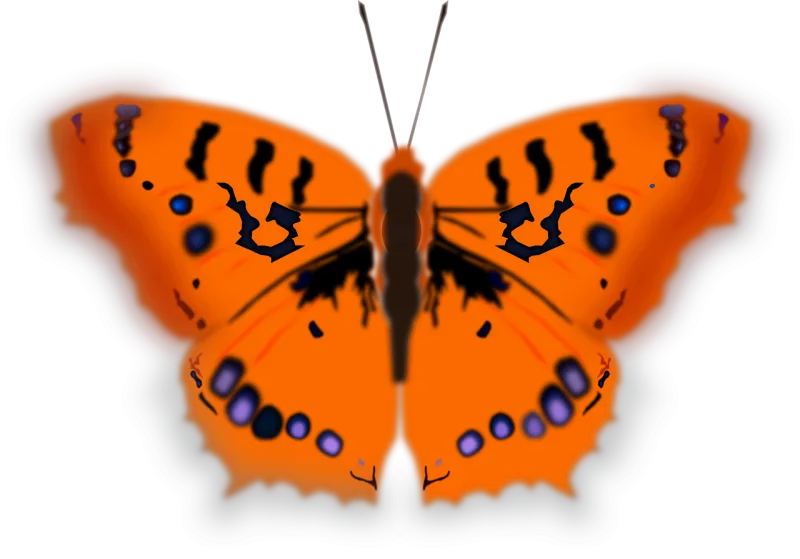Butterfly Insect Animal Stickdatei – Tiere