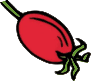 Rose hip Hip Nature Stickdatei